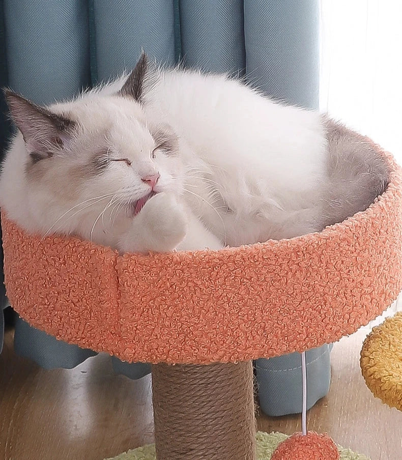 Cat Tree Jumping Platform