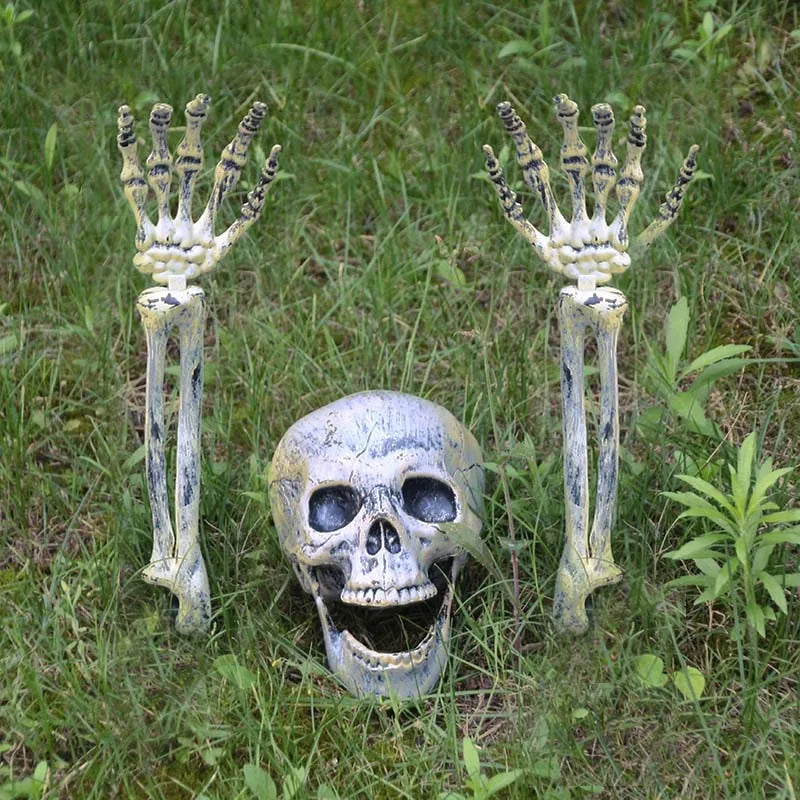 Scary Skull Skeleton