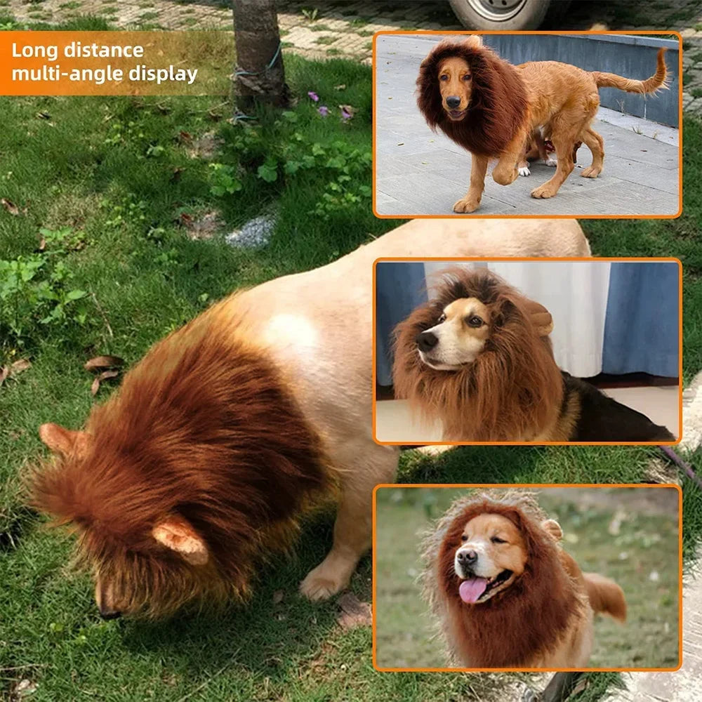 Realistic Lion Mane Dog Costume | Medium & Large Dog Cosplay Wig with Ears | Halloween Pet Outfit