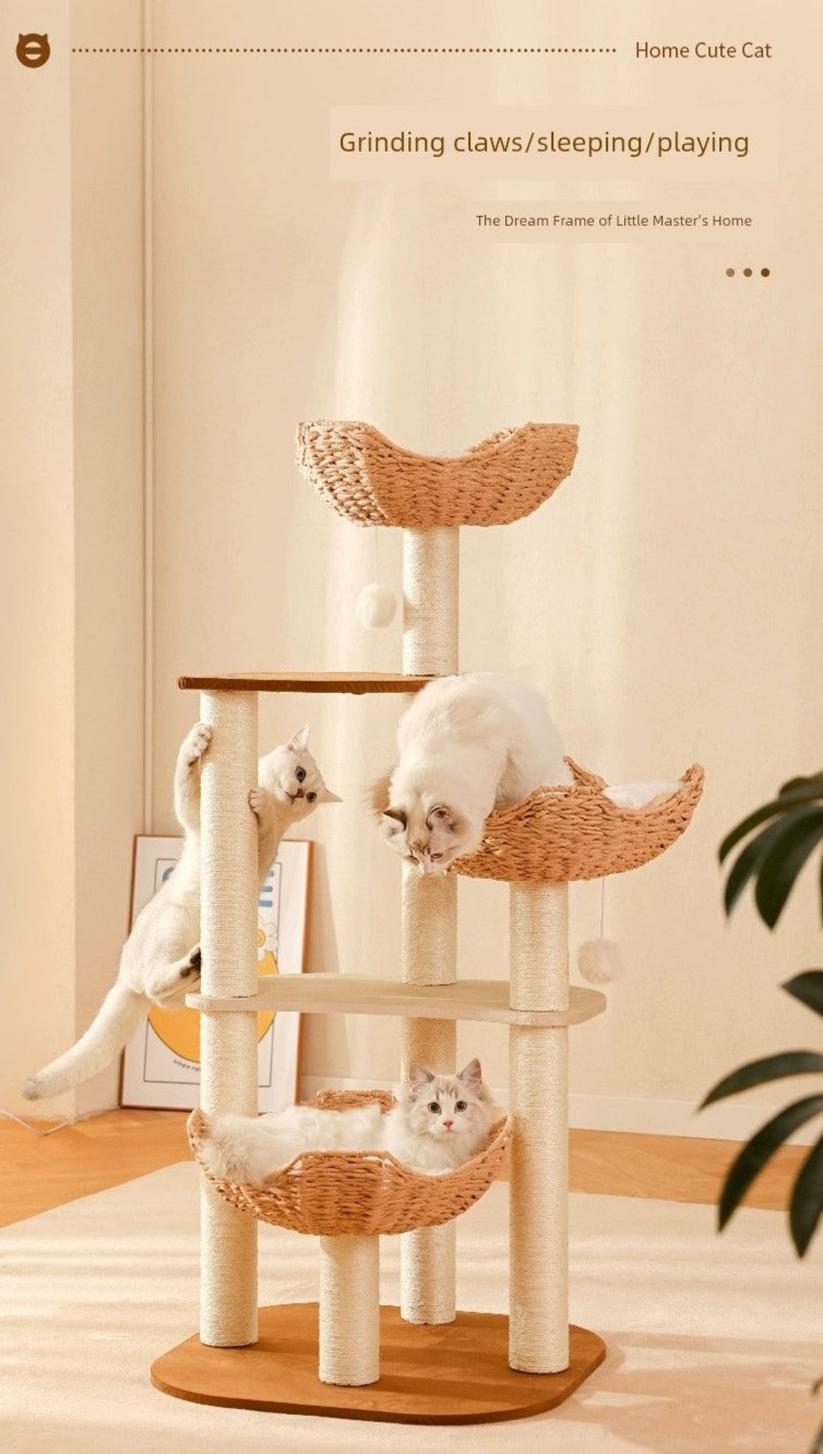 Cat Climbing Frame