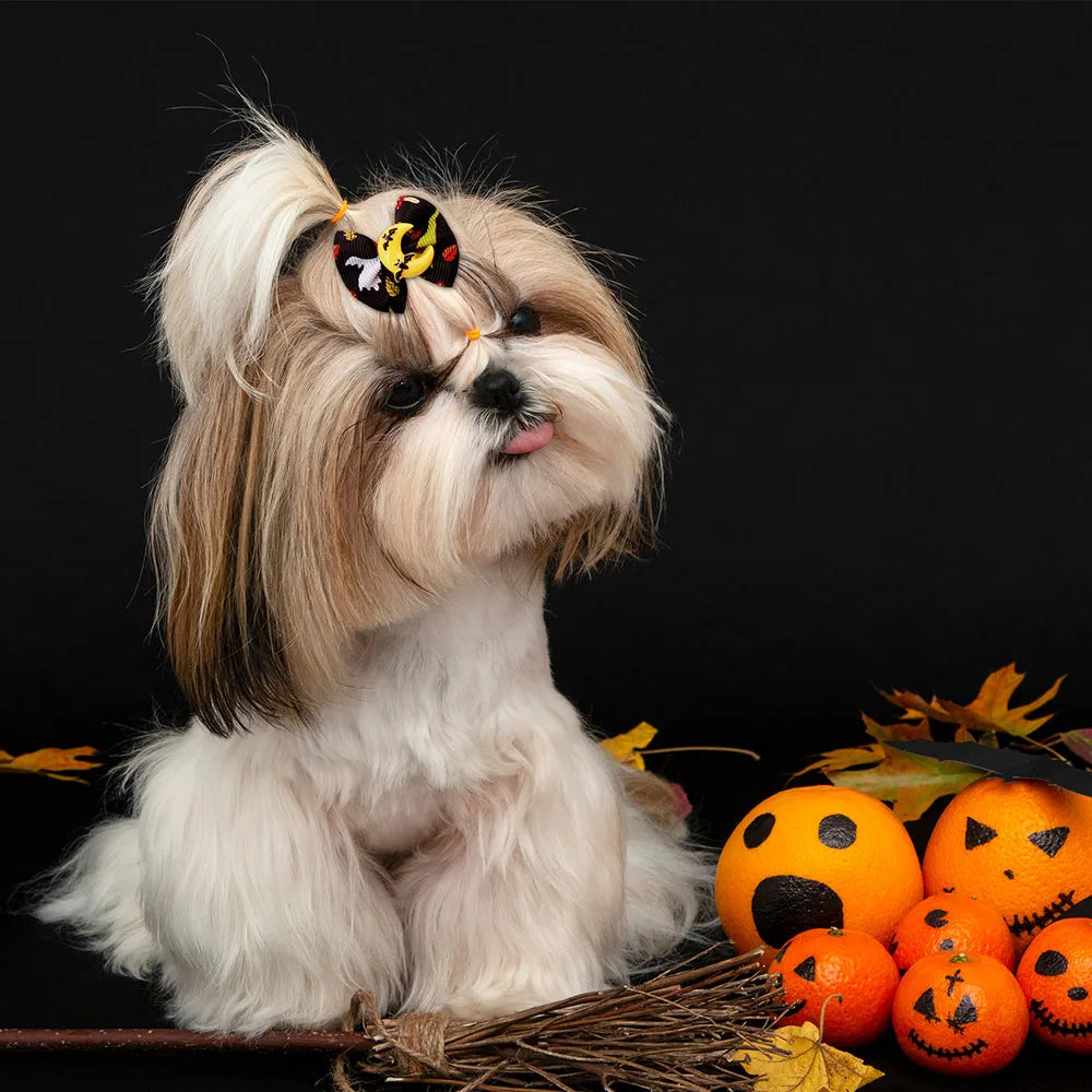 10/20PCS Halloween Pet Dog Hair Bows | Pumpkin Print Rubber Band Bowknots for Small Dogs & Cats