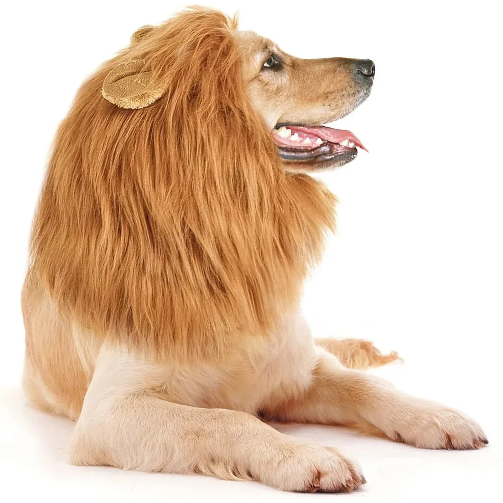 Realistic Lion Mane Dog Costume | Medium & Large Dog Cosplay Wig with Ears | Halloween Pet Outfit