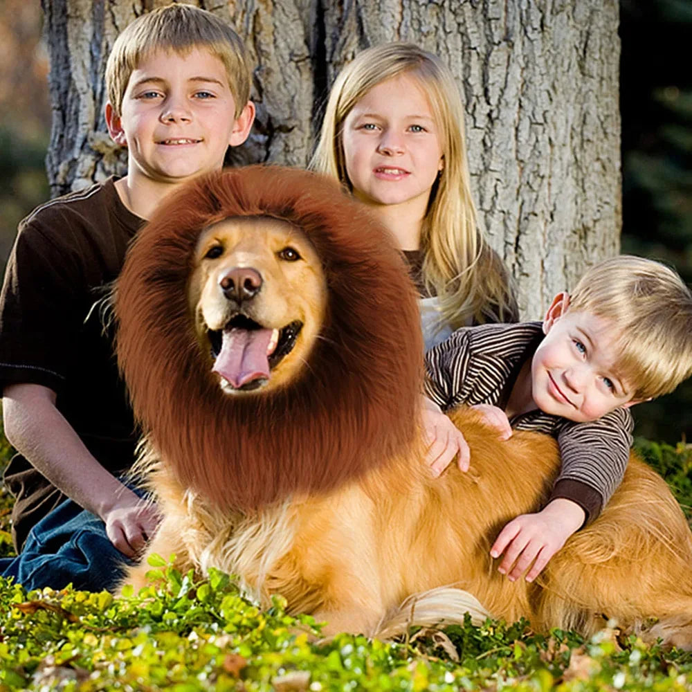 Realistic Lion Mane Dog Costume | Medium & Large Dog Cosplay Wig with Ears | Halloween Pet Outfit