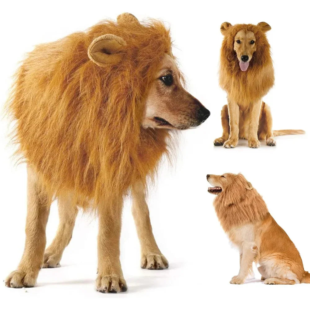 Realistic Lion Mane Dog Costume | Medium & Large Dog Cosplay Wig with Ears | Halloween Pet Outfit
