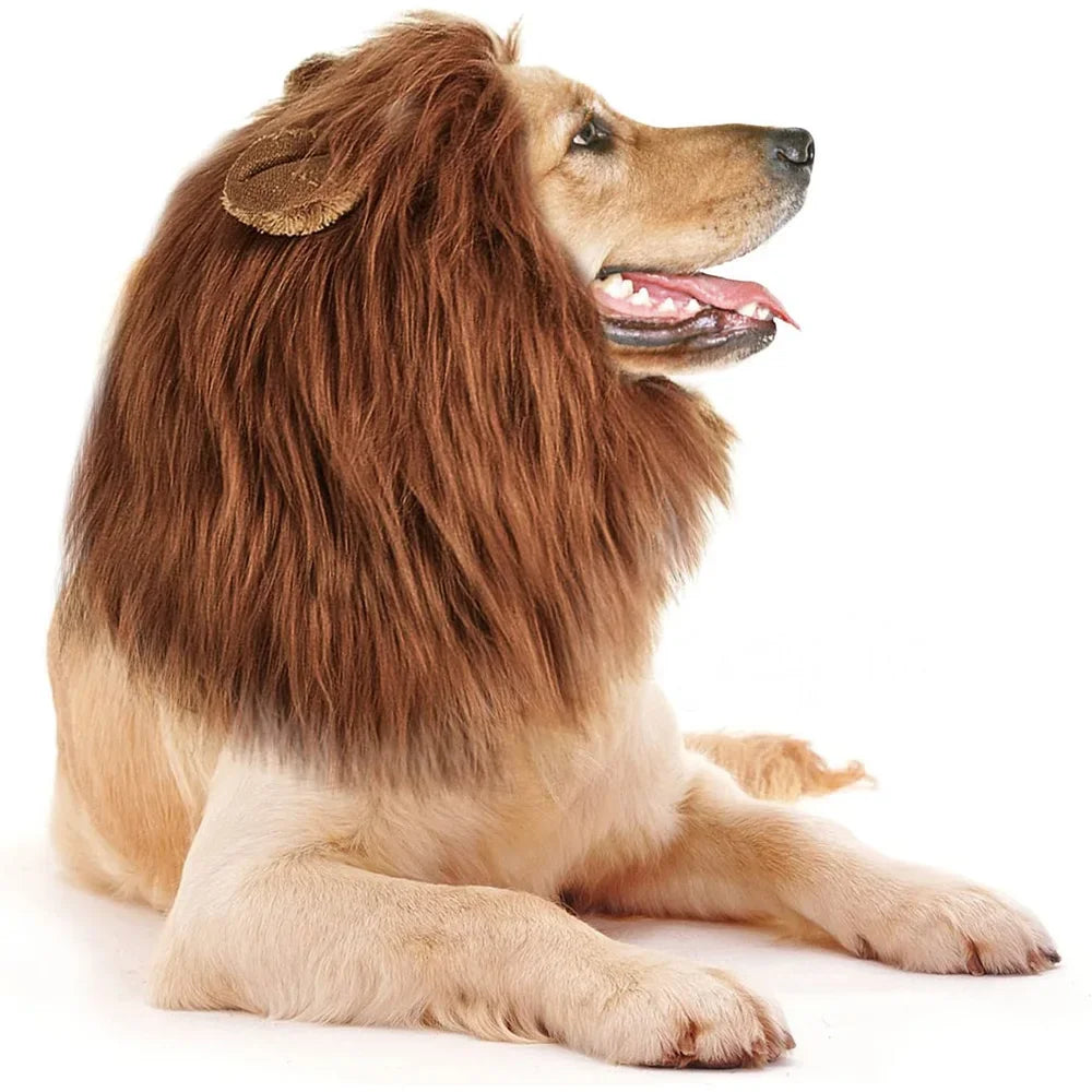 Realistic Lion Mane Dog Costume | Medium & Large Dog Cosplay Wig with Ears | Halloween Pet Outfit