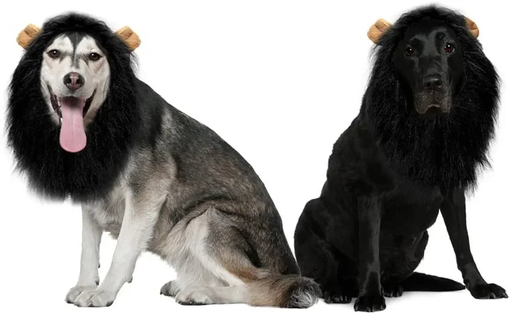 Realistic Lion Mane Dog Costume | Medium & Large Dog Cosplay Wig with Ears | Halloween Pet Outfit