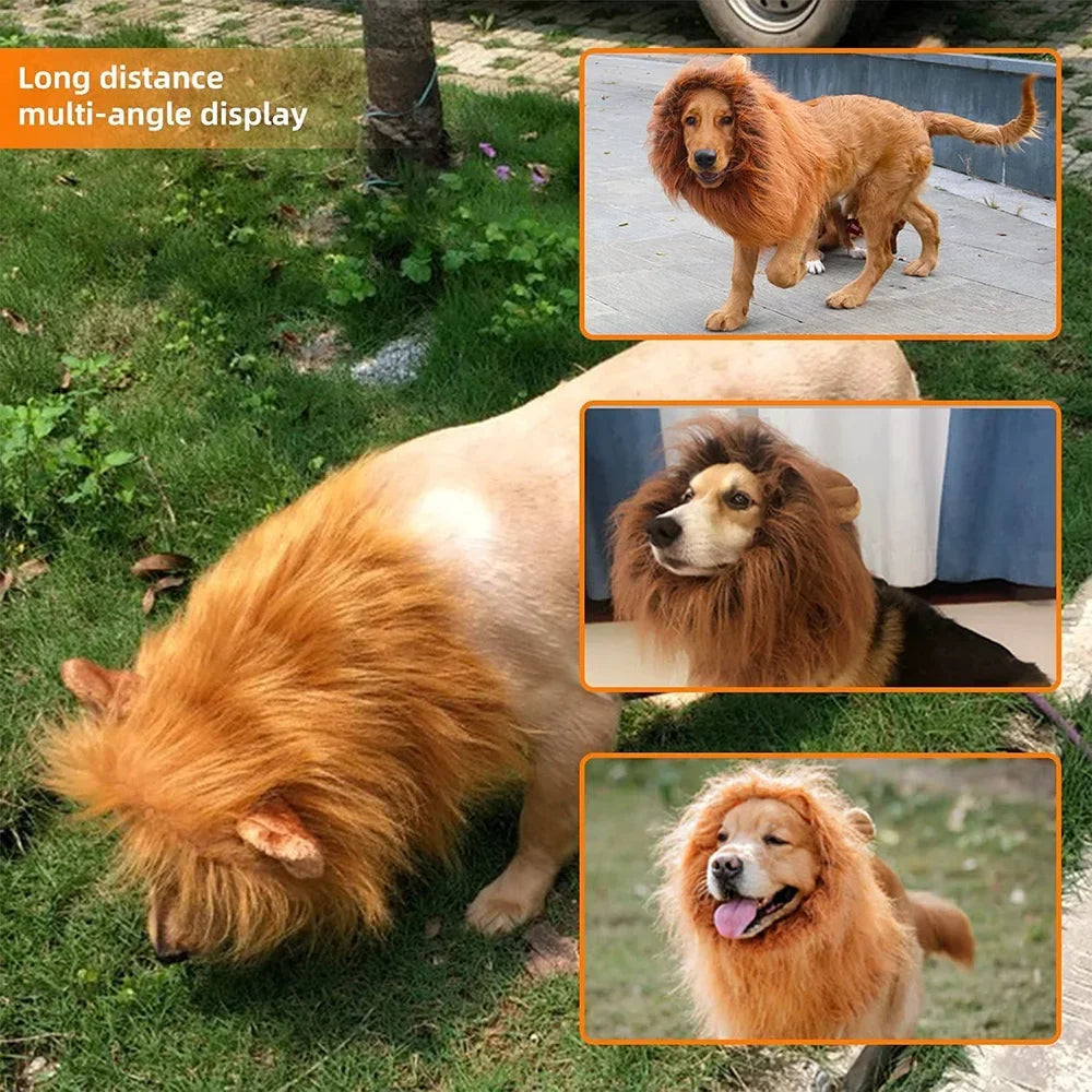 Realistic Lion Mane Dog Costume | Medium & Large Dog Cosplay Wig with Ears | Halloween Pet Outfit