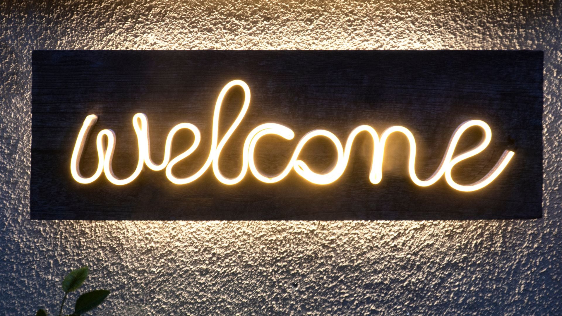 Creating a Welcoming Home with The OLM Store