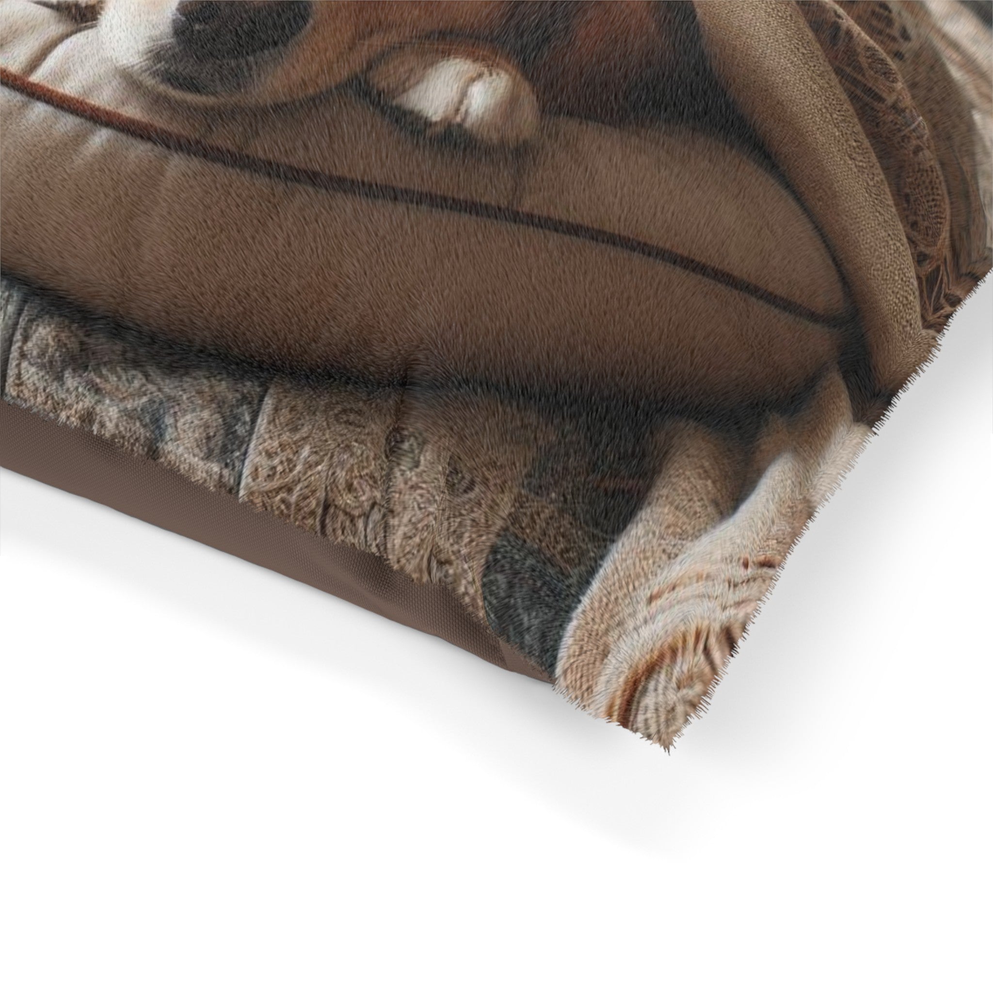 Pet Bed