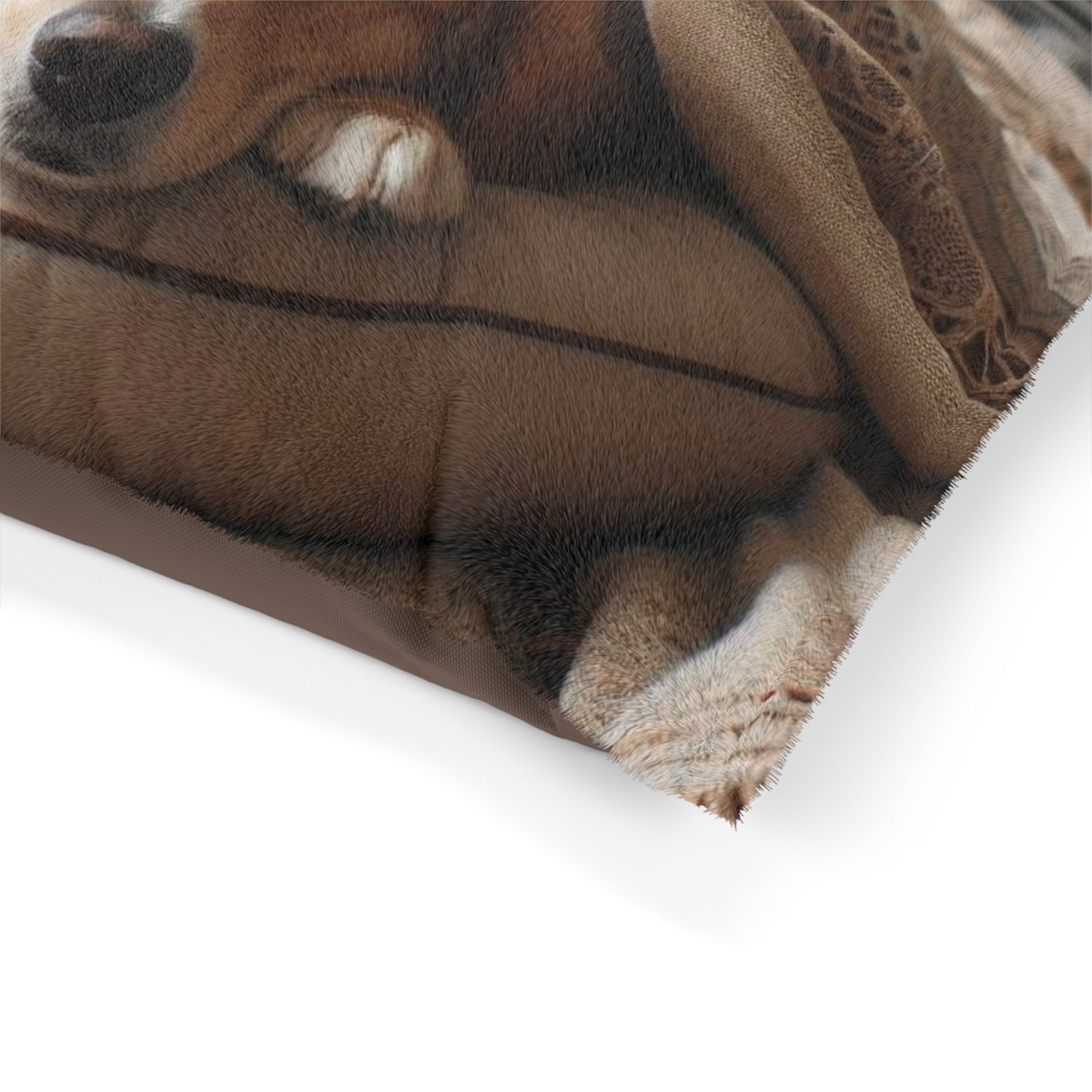 Pet Bed