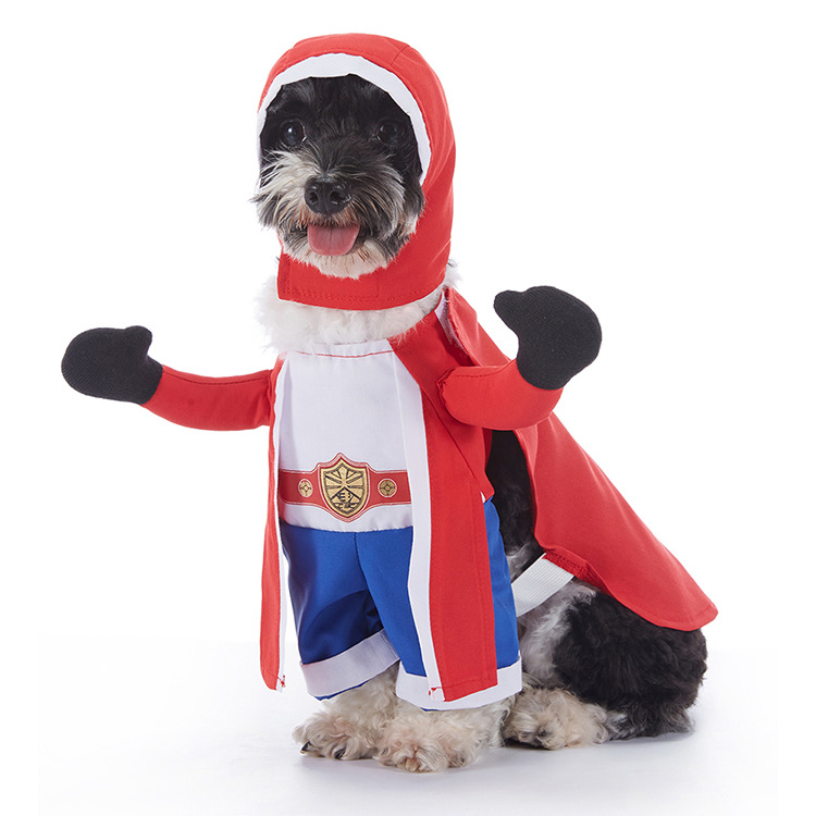 Halloween Dog Costumes – Cute & Comfortable Pet Outfits for Small & Large Dogs | Pumpkin, Ghost, Witch & Spooky Styles