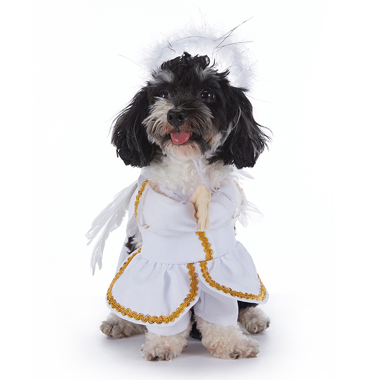 Halloween Dog Costumes – Cute & Comfortable Pet Outfits for Small & Large Dogs | Pumpkin, Ghost, Witch & Spooky Styles