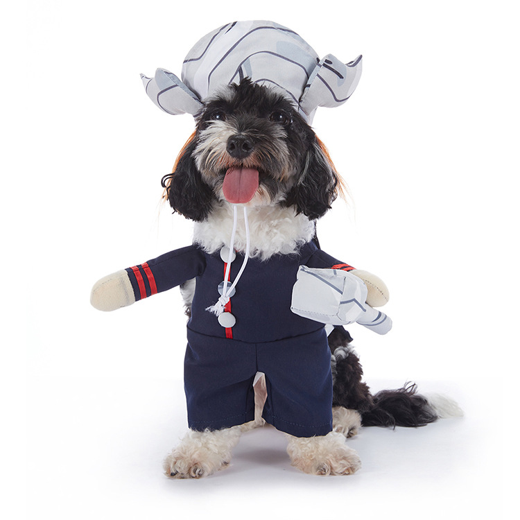 Halloween Dog Costumes – Cute & Comfortable Pet Outfits for Small & Large Dogs | Pumpkin, Ghost, Witch & Spooky Styles