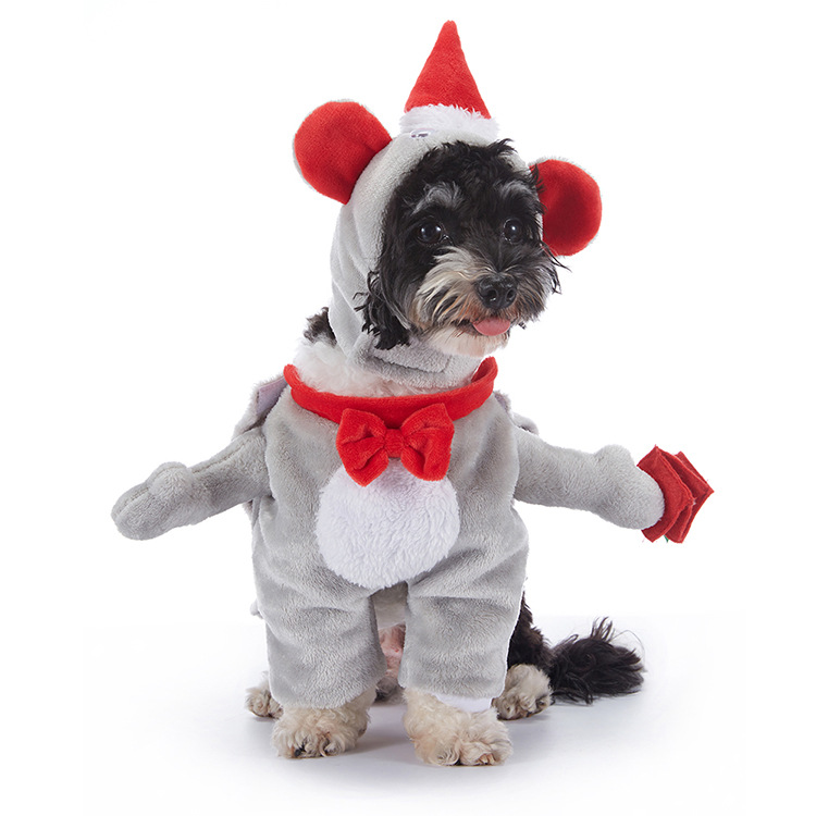 Halloween Dog Costumes – Cute & Comfortable Pet Outfits for Small & Large Dogs | Pumpkin, Ghost, Witch & Spooky Styles