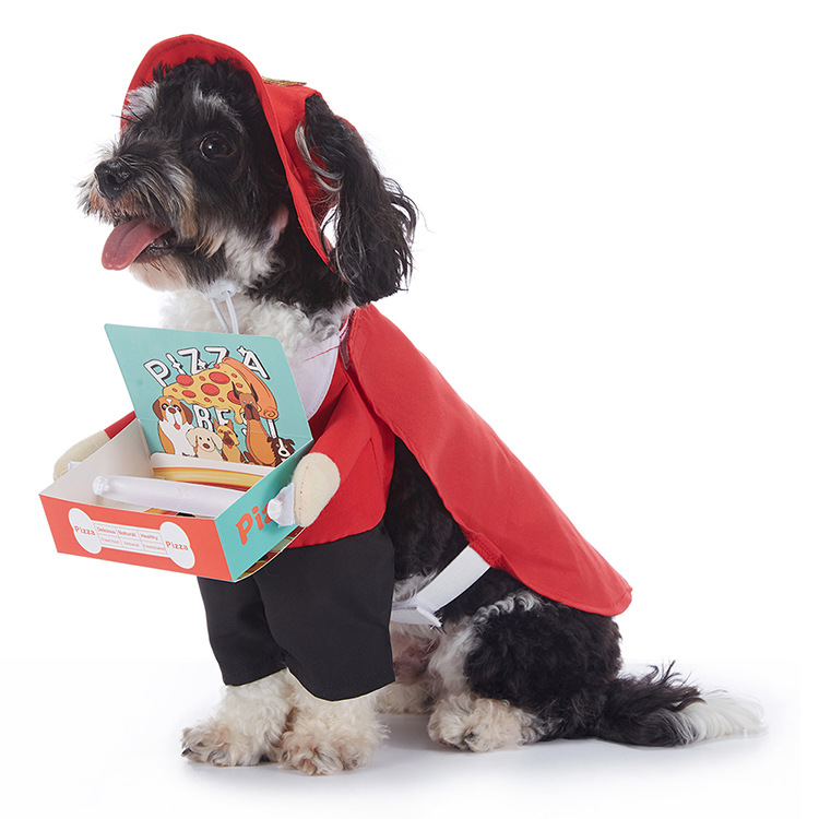 Halloween Dog Costumes – Cute & Comfortable Pet Outfits for Small & Large Dogs | Pumpkin, Ghost, Witch & Spooky Styles