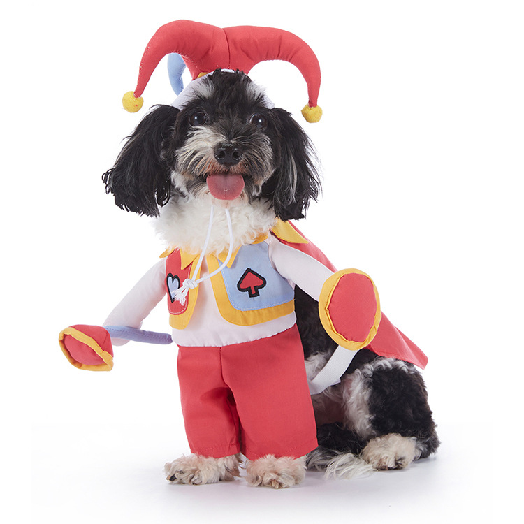 Halloween Dog Costumes – Cute & Comfortable Pet Outfits for Small & Large Dogs | Pumpkin, Ghost, Witch & Spooky Styles