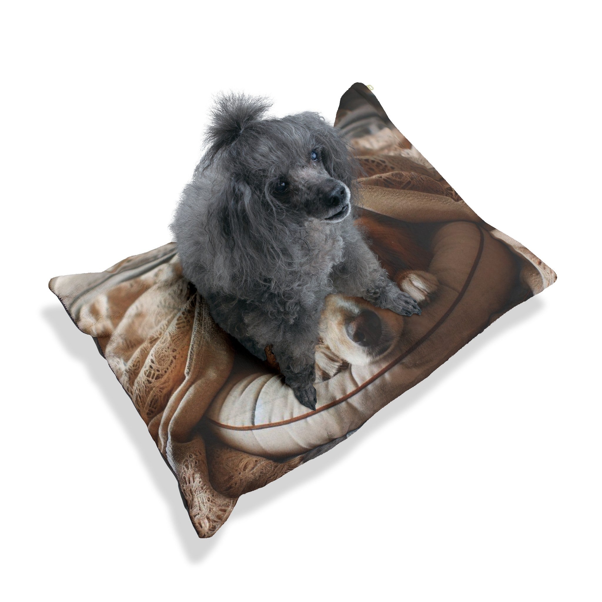 Pet Bed