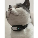 Wireless Pet Collar Camera