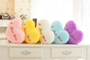 Luminous Pillow Heart Cushion