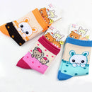 Adorable Lace Socks for Girls