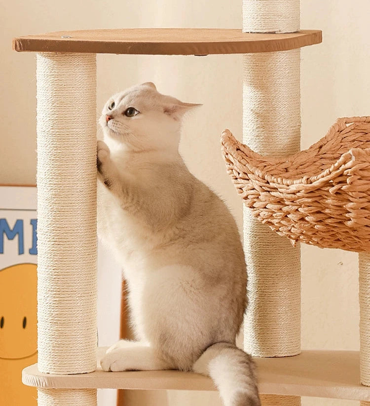 Cat Climbing Frame