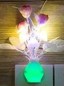 49289594339603|49289594568979