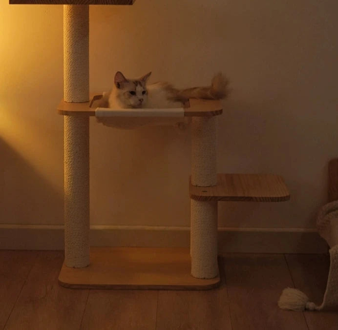 Cat Climbing Frame