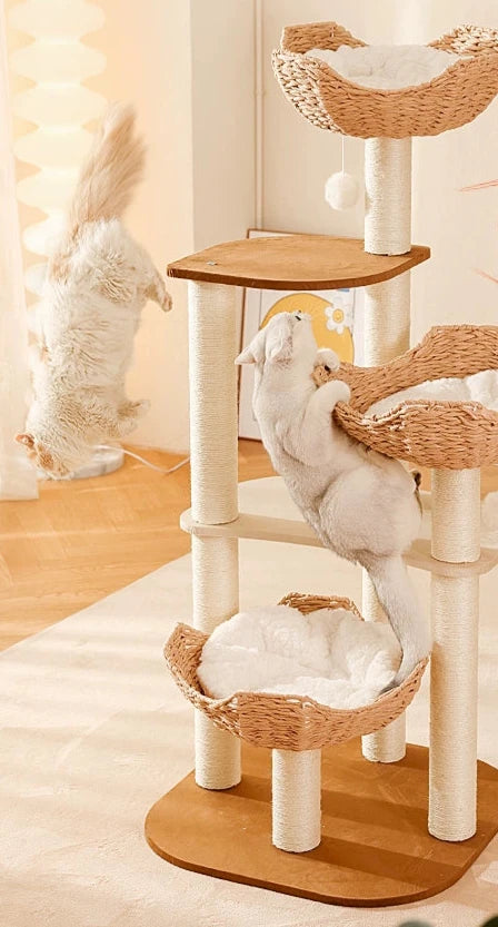Cat Climbing Frame