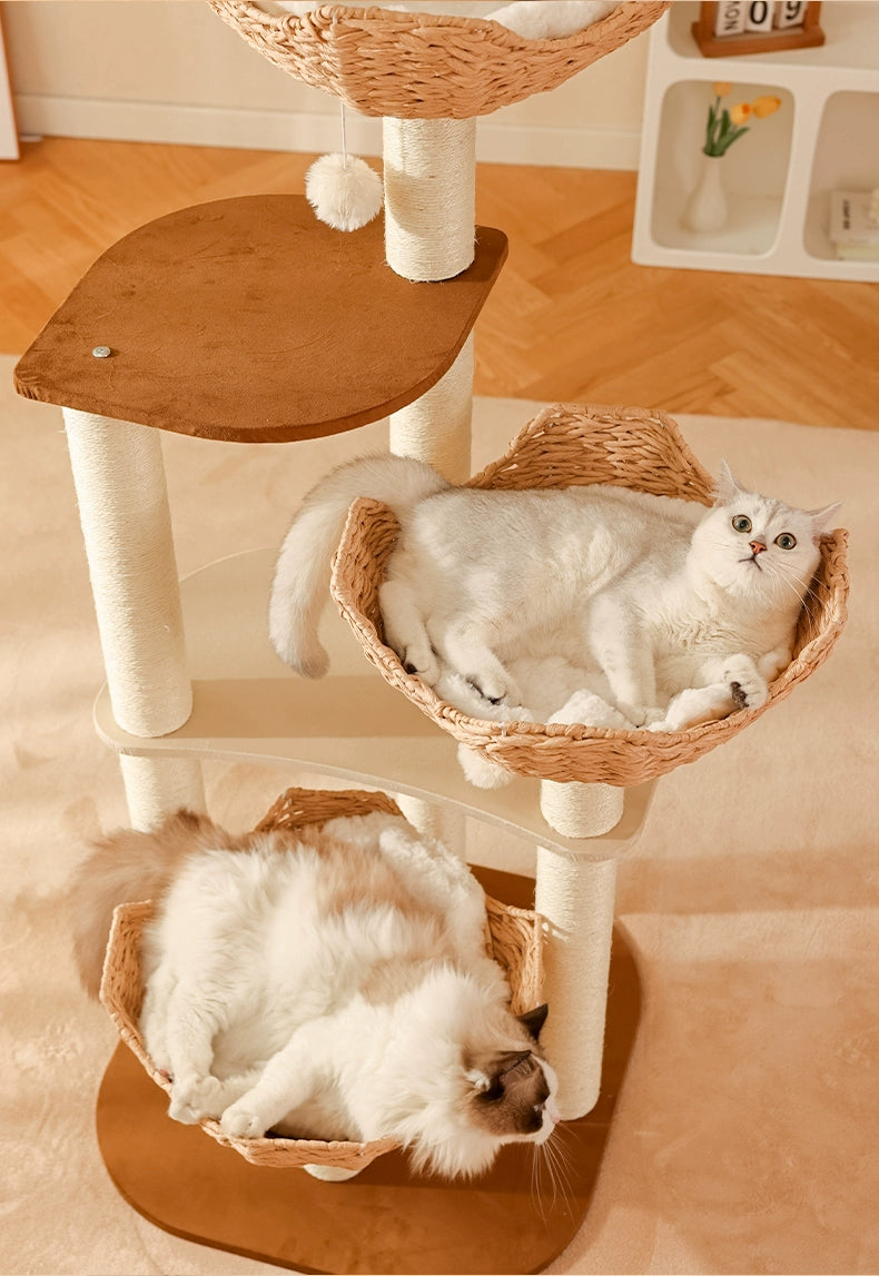 Cat Climbing Frame