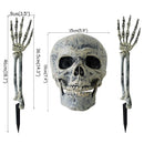 Scary Skull Skeleton