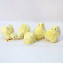 5‑Piece Simulation Baby Chick Set – Lifelike Faux Plush Easter Decorations, Cute Artificial Animal Figurines for Home, Display & Spring Decor