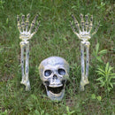 Scary Skull Skeleton