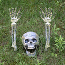 Scary Skull Skeleton