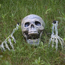 Scary Skull Skeleton