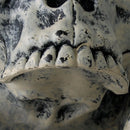Scary Skull Skeleton