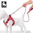 Rope Leash for Dogs and Cats