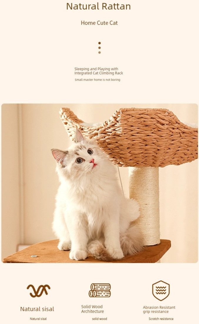 Cat Climbing Frame