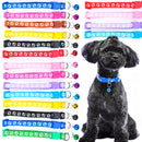 Small Dog and Cat Collar with Bell