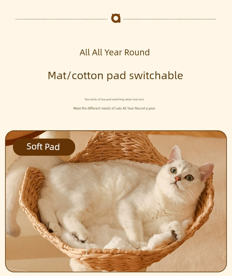 Cat Climbing Frame