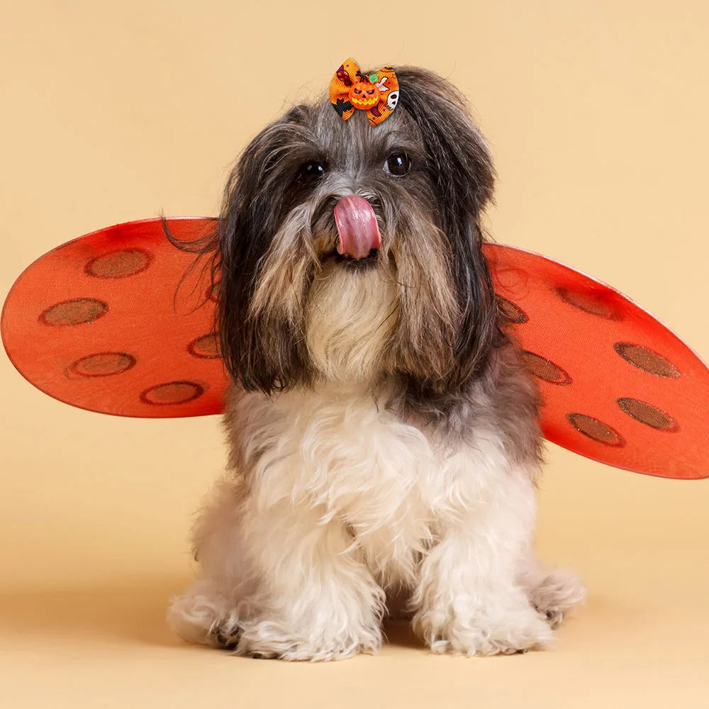 10/20PCS Halloween Pet Dog Hair Bows | Pumpkin Print Rubber Band Bowknots for Small Dogs & Cats