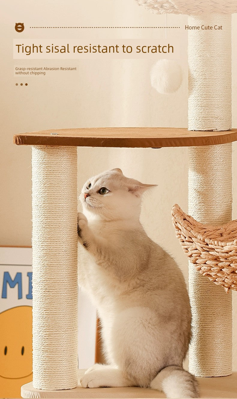 Cat Climbing Frame