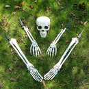 Scary Skull Skeleton