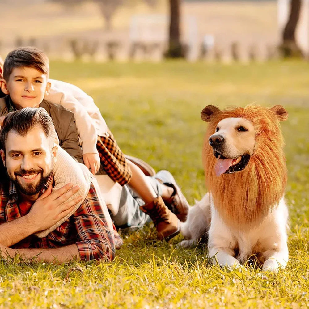 Realistic Lion Mane Dog Costume | Medium & Large Dog Cosplay Wig with Ears | Halloween Pet Outfit