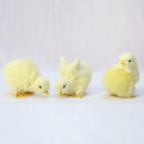 5‑Piece Simulation Baby Chick Set – Lifelike Faux Plush Easter Decorations, Cute Artificial Animal Figurines for Home, Display & Spring Decor