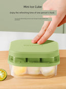 Ice Cube Mold