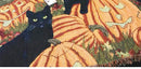 Halloween Pumpkin Cat Tassel Throw Blanket