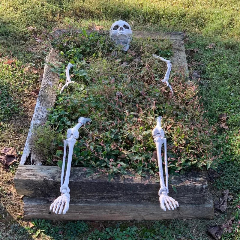 Scary Skull Skeleton