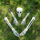 Scary Skull Skeleton