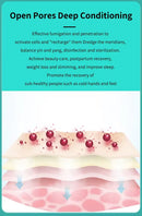 Infrared Red Light Tourmaline Stone Spa Capsule