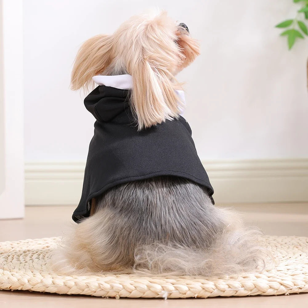 Funny Halloween Cat & Dog Nun Costume | Jesus Cross Cosplay Outfit for Small, Medium & Large Pets
